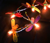 Dragon fly lights_sml.jpg